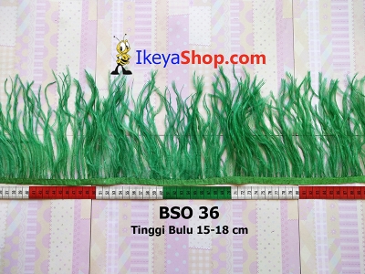 BSO 36  large2
